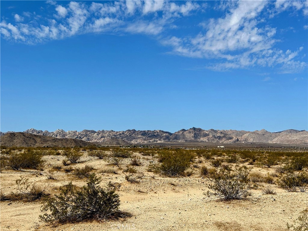 MLS #JT25131781 image #10