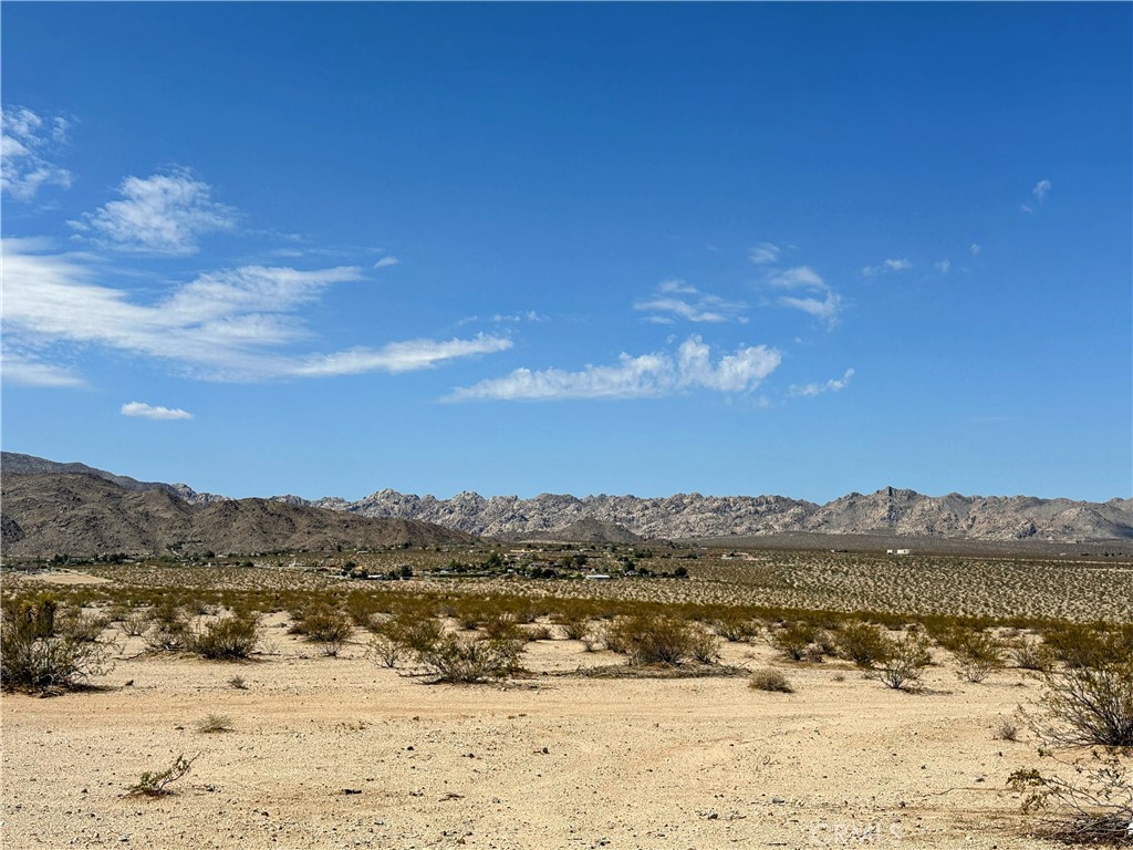 MLS #JT25131781 image #5