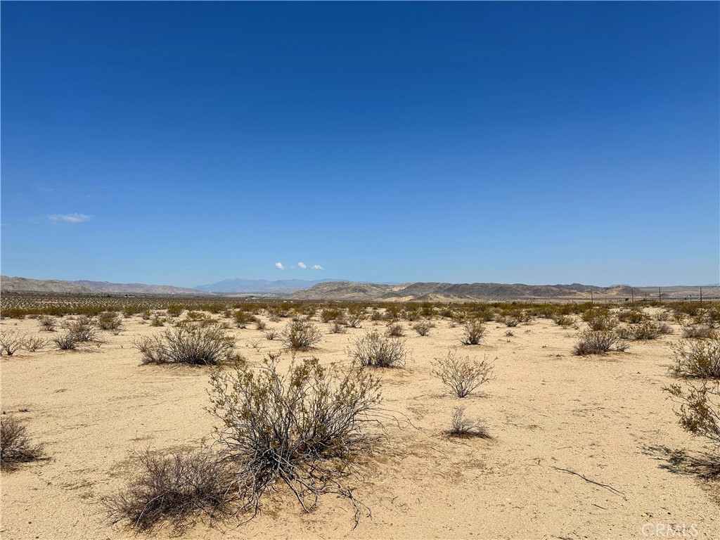 MLS #JT25131781 image #7