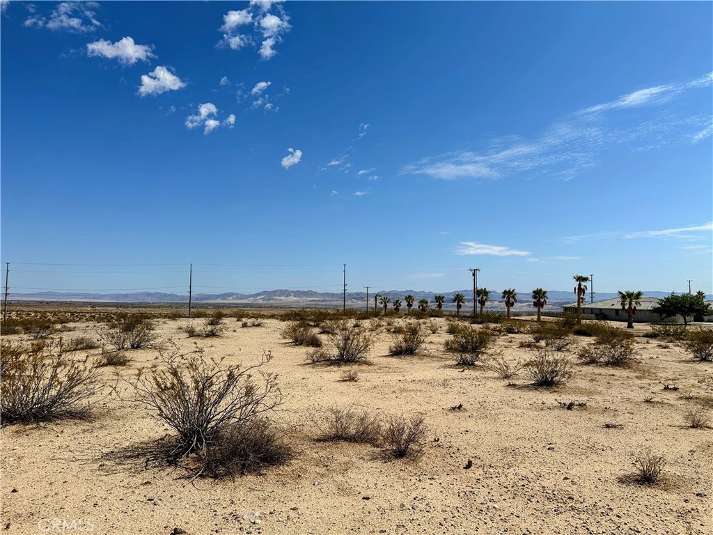 MLS #JT25131781 image #9