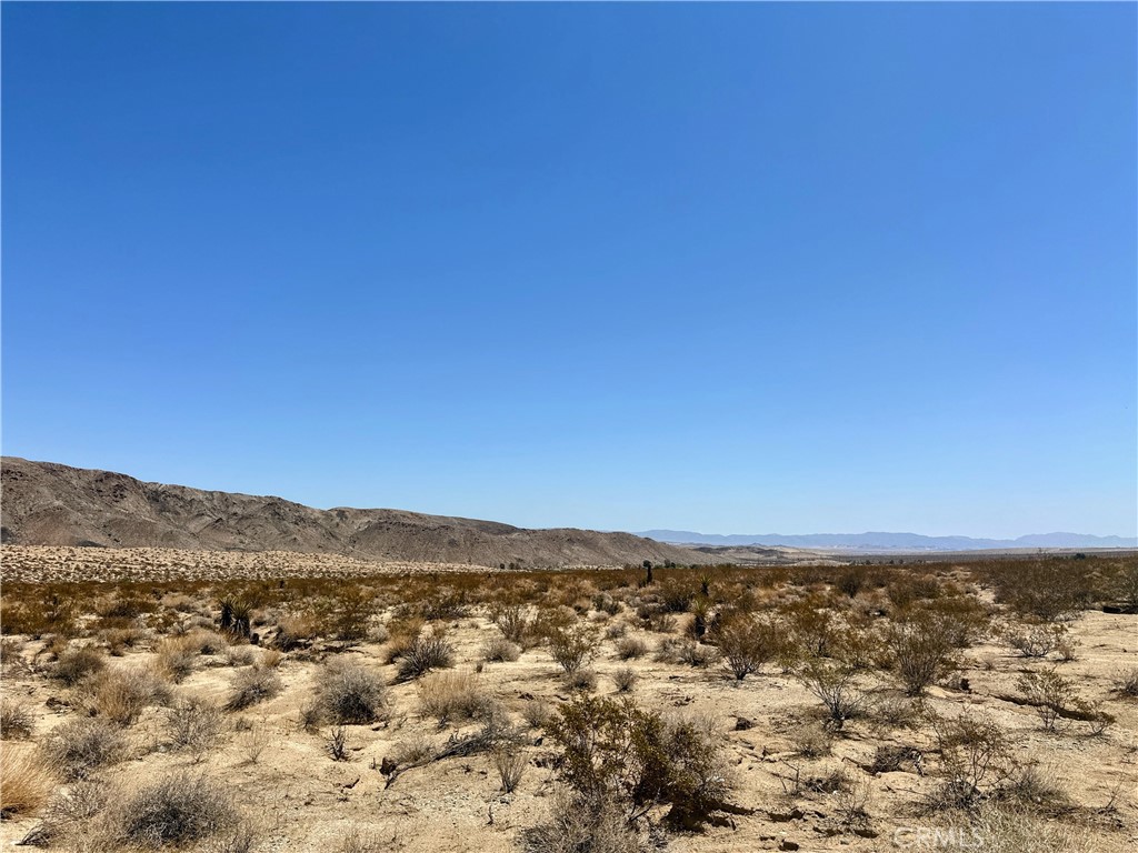 MLS #JT25133584 image #1