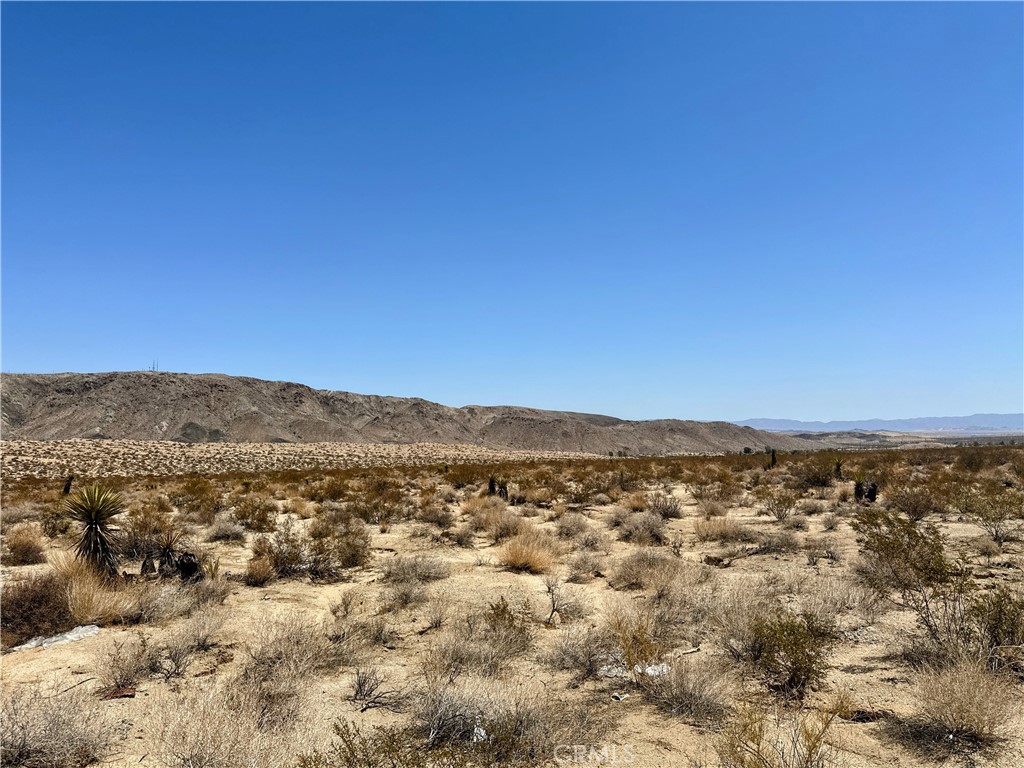 MLS #JT25133584 image #3