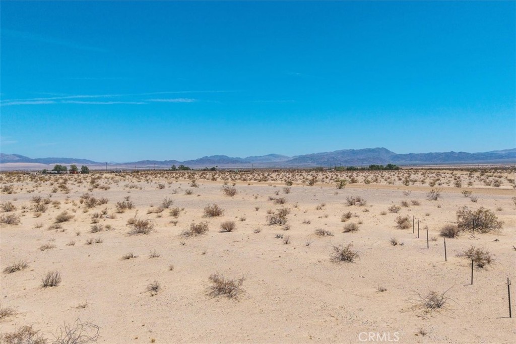 MLS #JT25133650 image #10