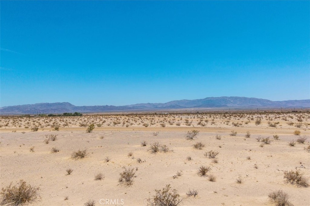 MLS #JT25133650 image #11