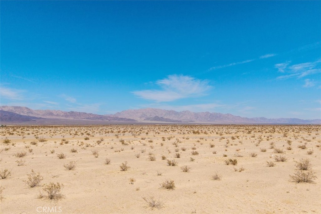 MLS #JT25133650 image #21