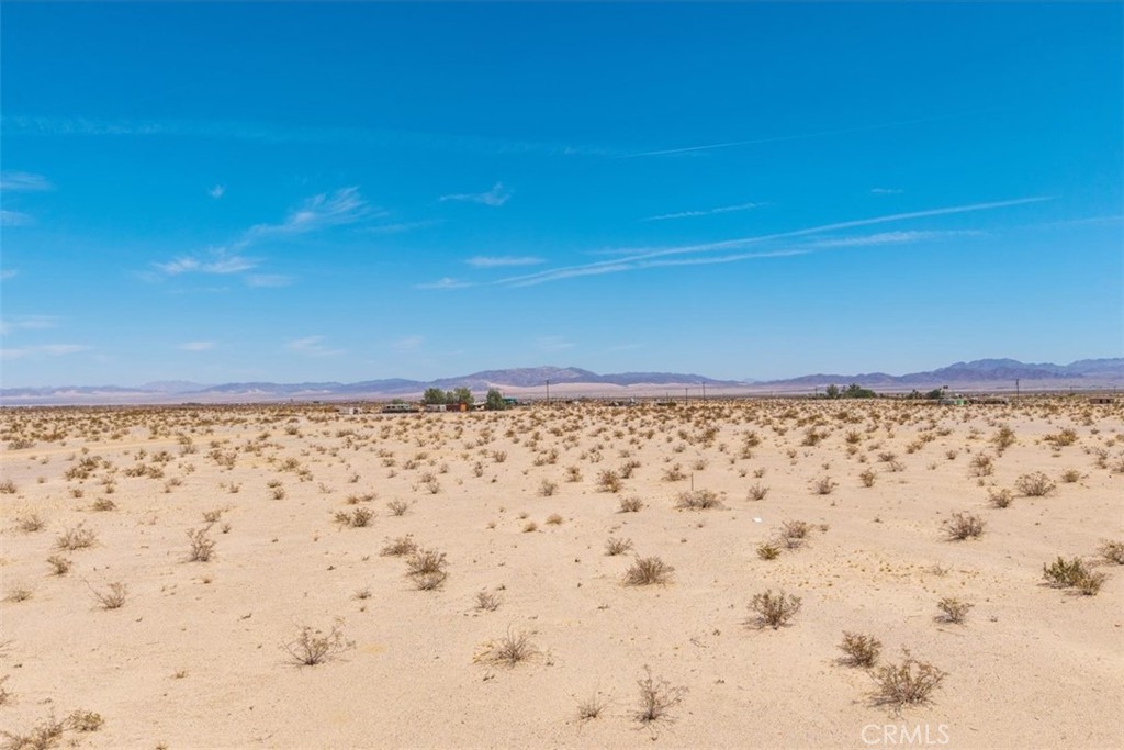 MLS #JT25133650 image #23