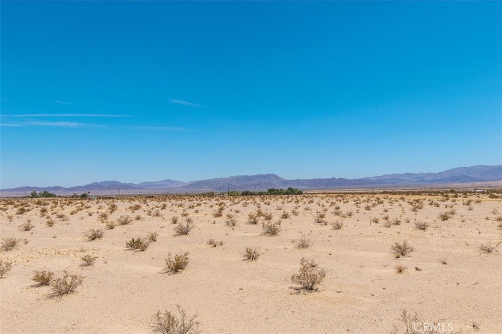 MLS #JT25133650 image #25