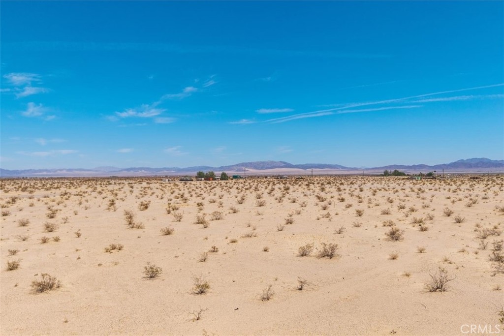 MLS #JT25133650 image #33