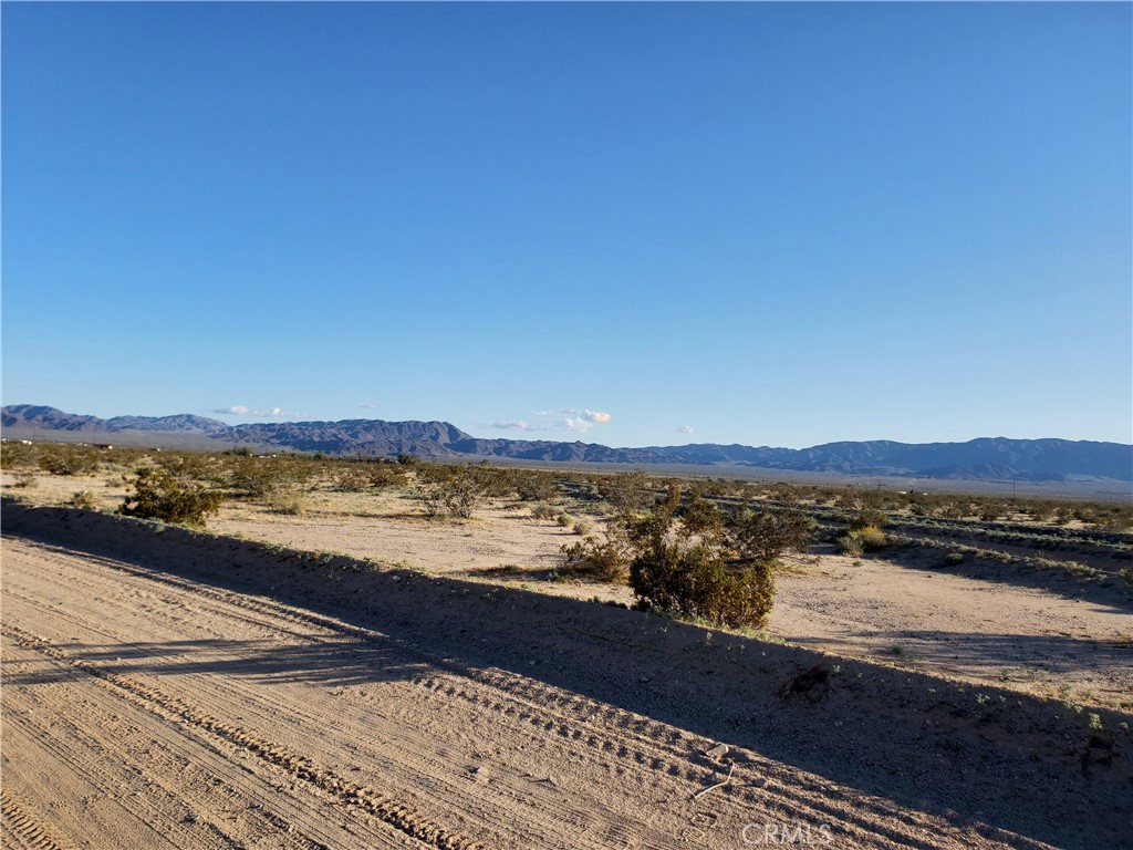 MLS #JT25134346 image #11