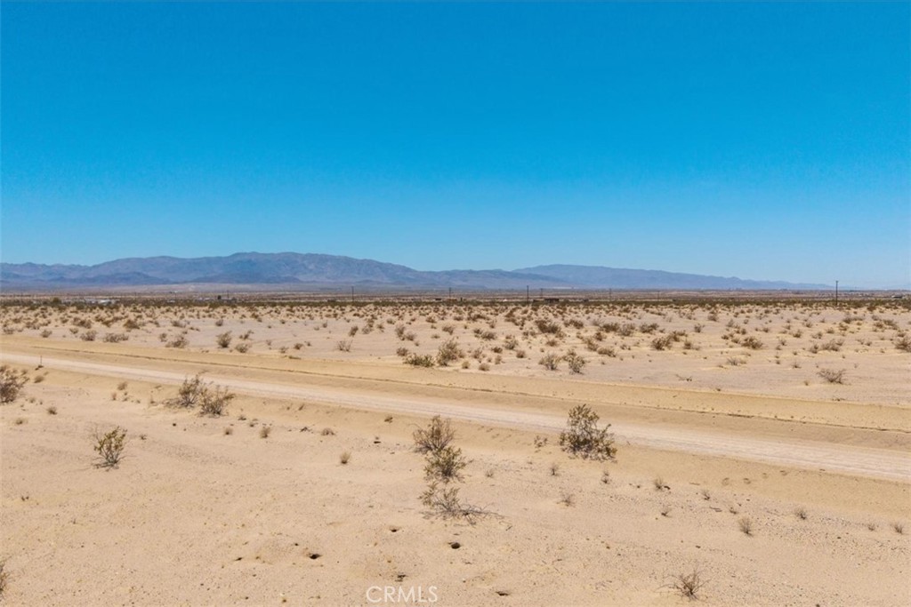 MLS #JT25134346 image #16