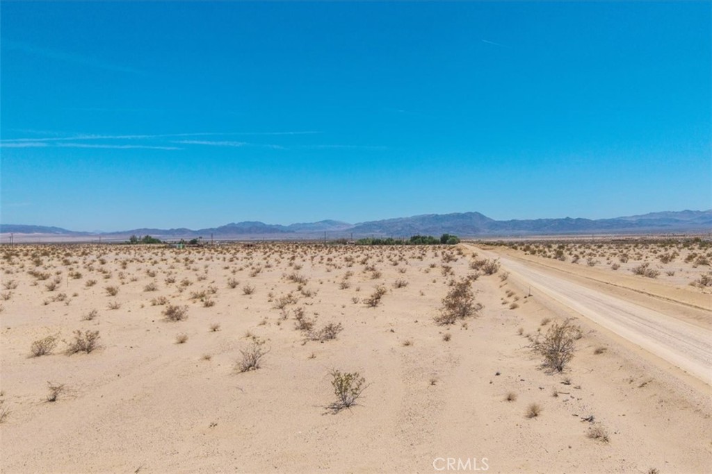 MLS #JT25134346 image #17