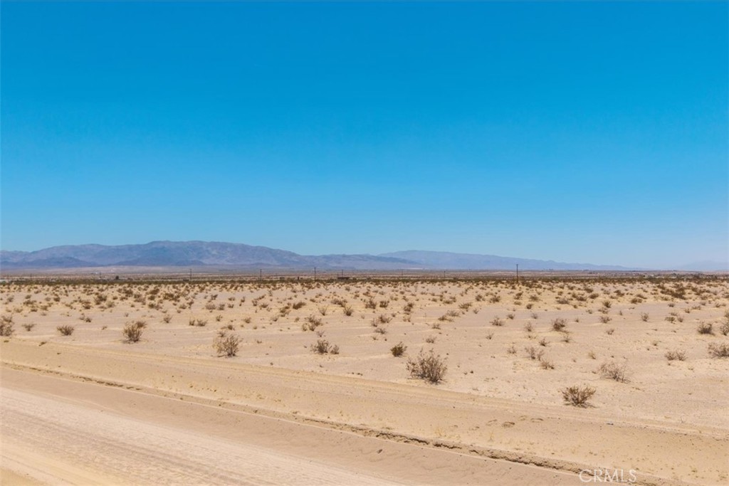 MLS #JT25134346 image #26