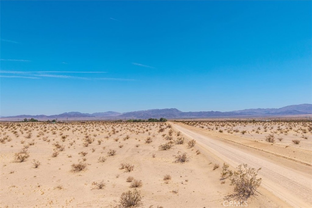 MLS #JT25134346 image #28