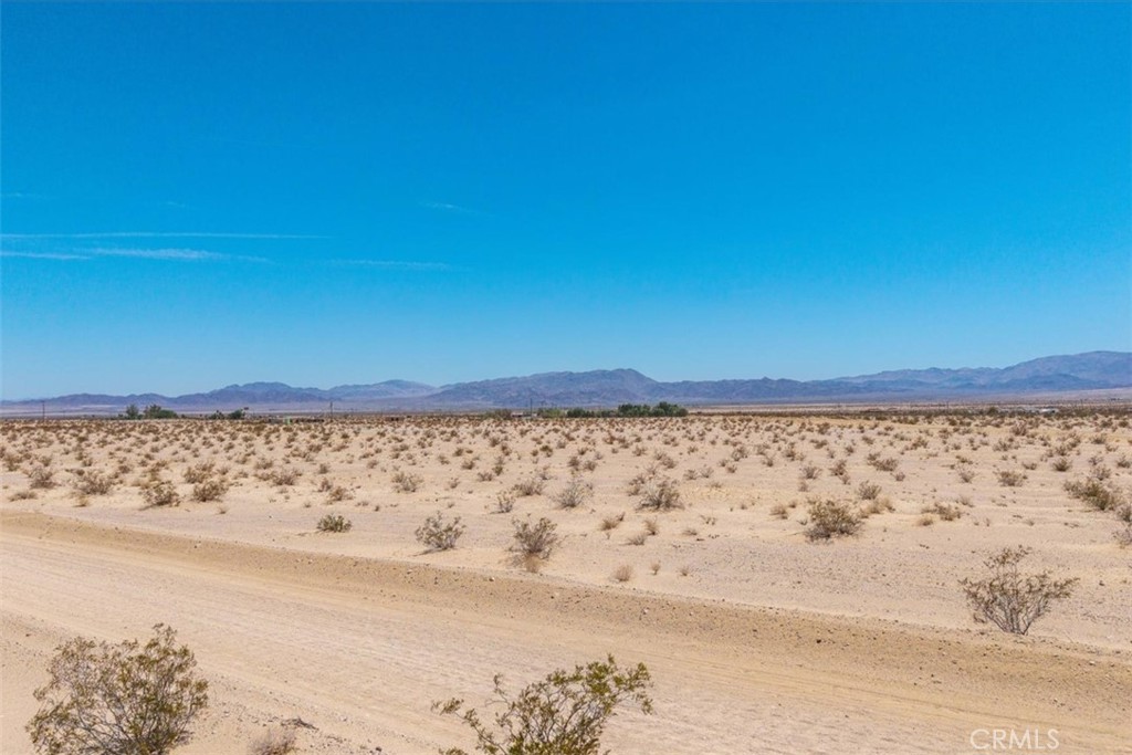 MLS #JT25134346 image #3