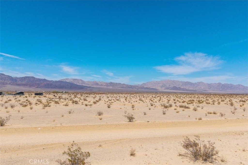 MLS #JT25134346 image #8