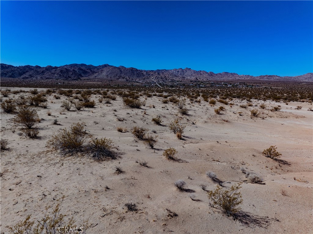 MLS #JT25134770 image #23