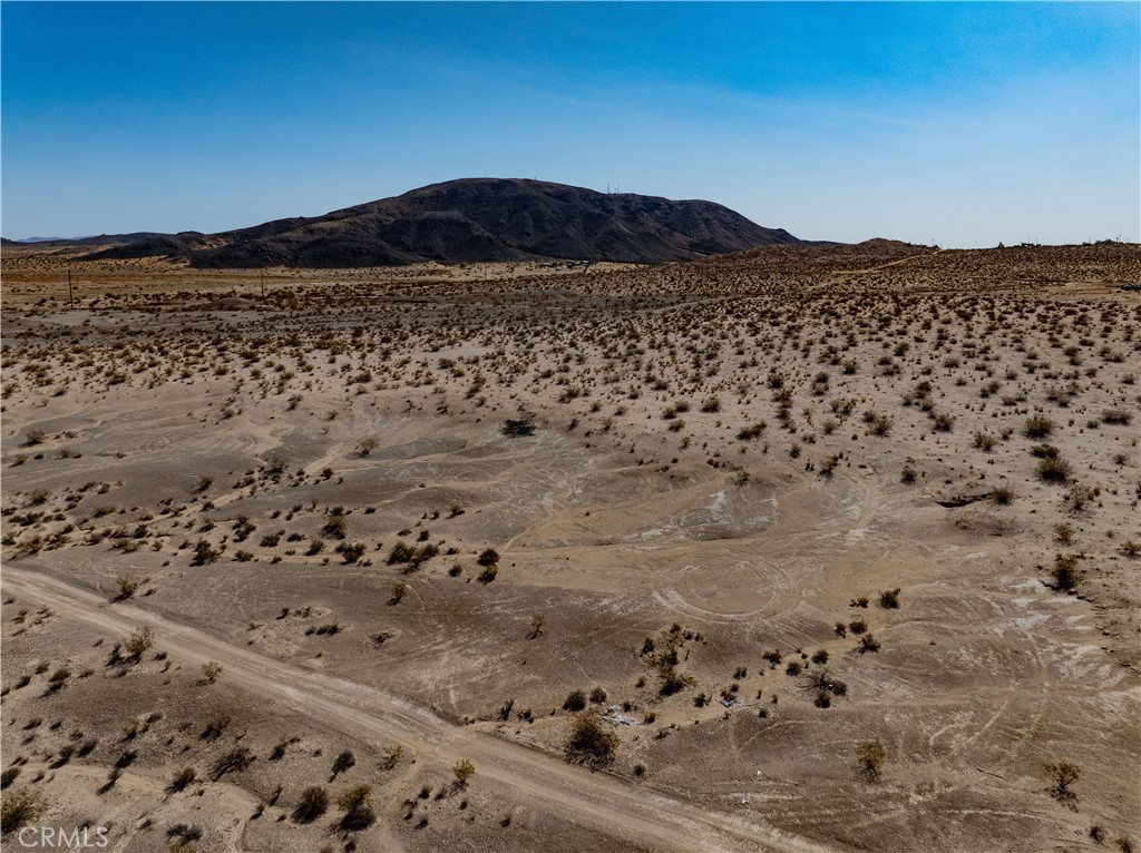 MLS #JT25134770 image #5