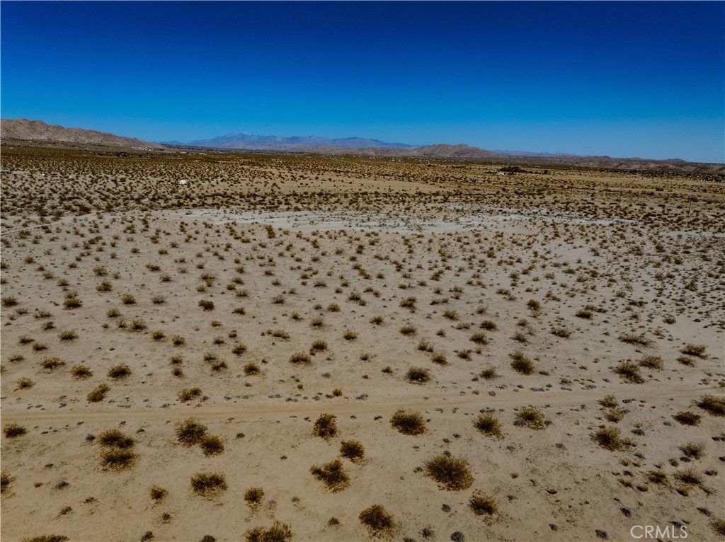 MLS #JT25134770 image #8