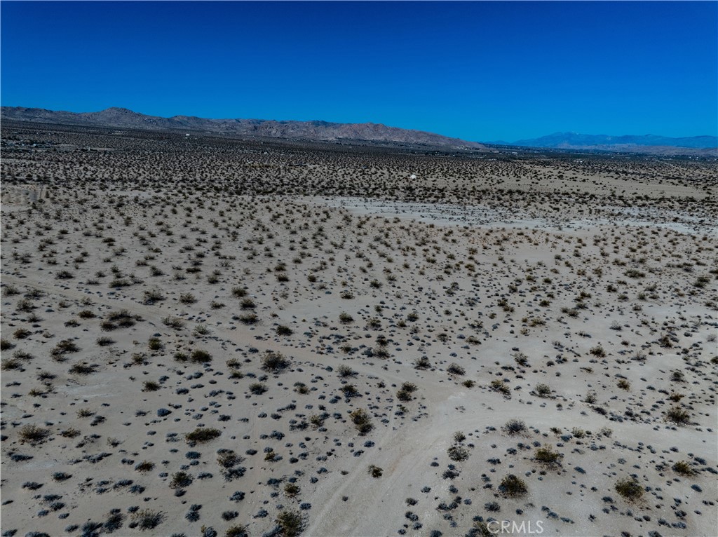 MLS #JT25134770 image #9