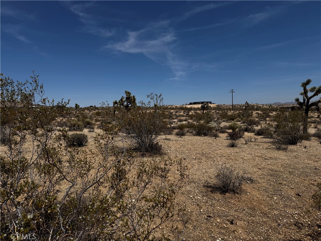 MLS #JT25134804 image #1