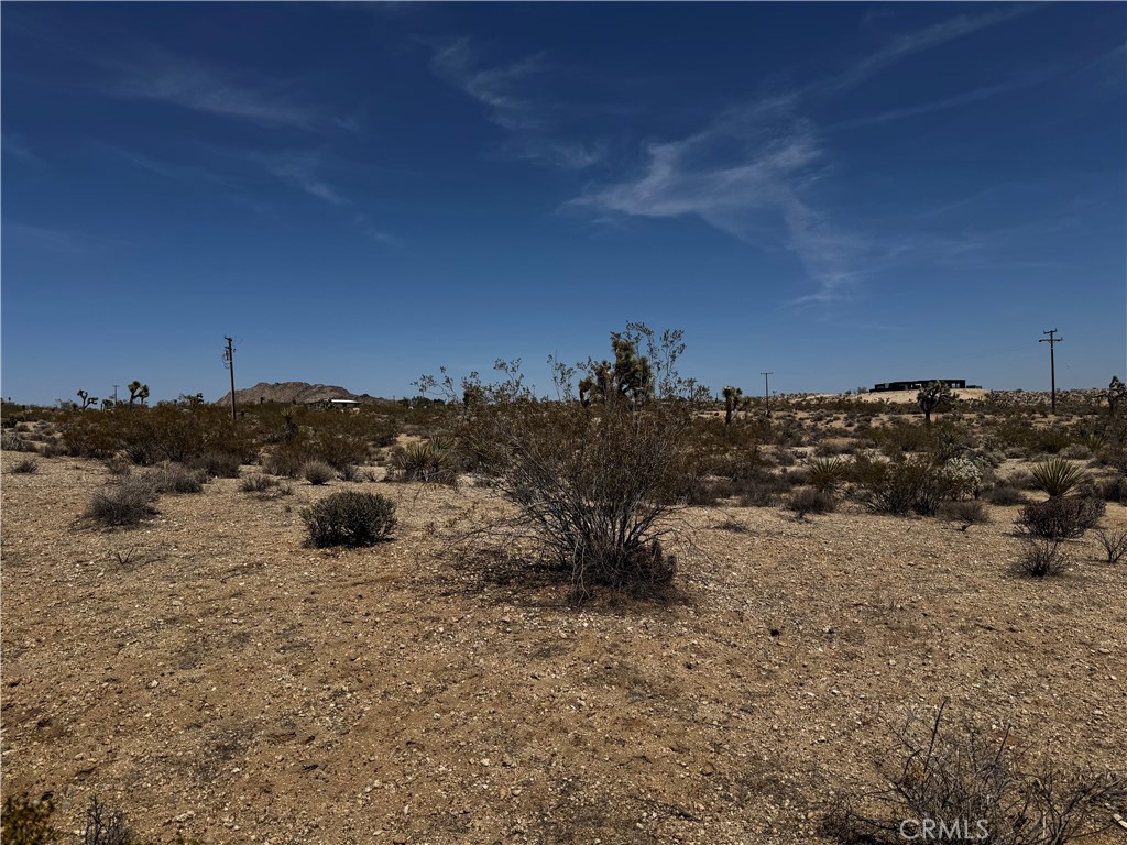 MLS #JT25134804 image #3