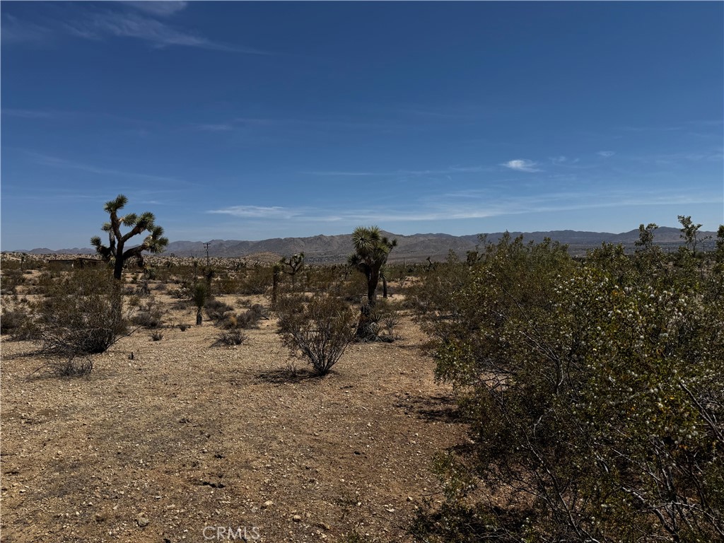 MLS #JT25134804 image #4