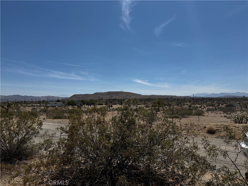 MLS #JT25134804 image #5