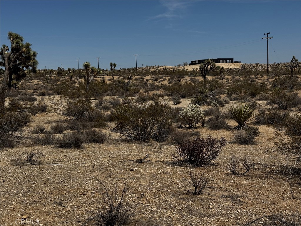 MLS #JT25134804 image #6