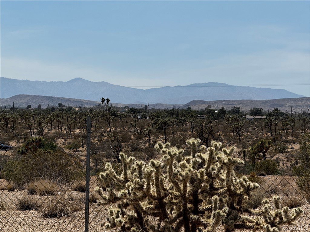 MLS #JT25134804 image #7