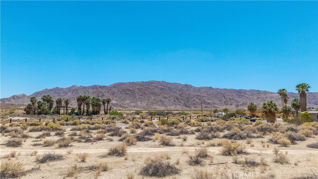 MLS #JT25135983 image #17