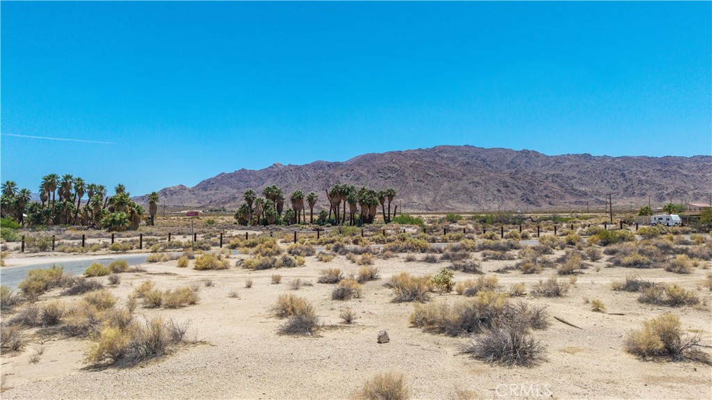 MLS #JT25135983 image #18