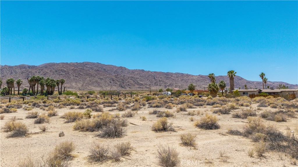 MLS #JT25135983 image #19