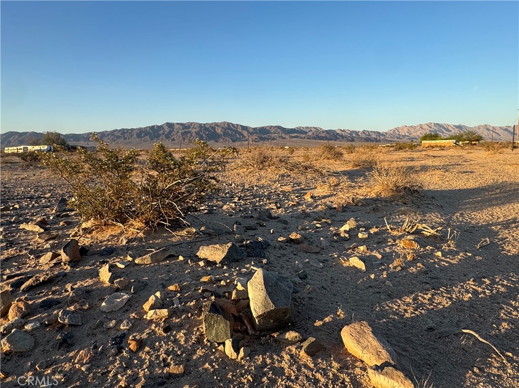 MLS #JT25137885 image #3