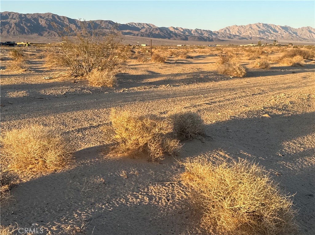 MLS #JT25137885 image #4