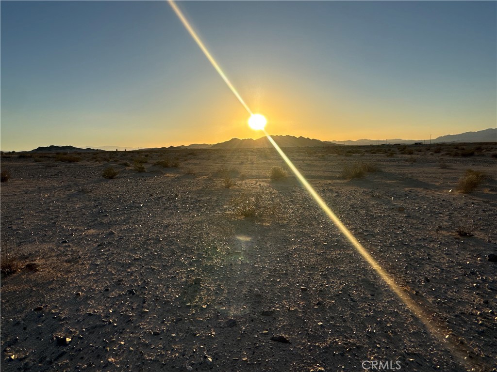 MLS #JT25137885 image #7