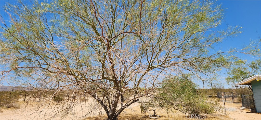 MLS #JT25138225 image #11