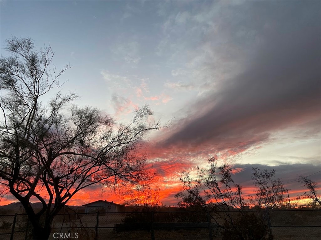 MLS #JT25138225 image #13