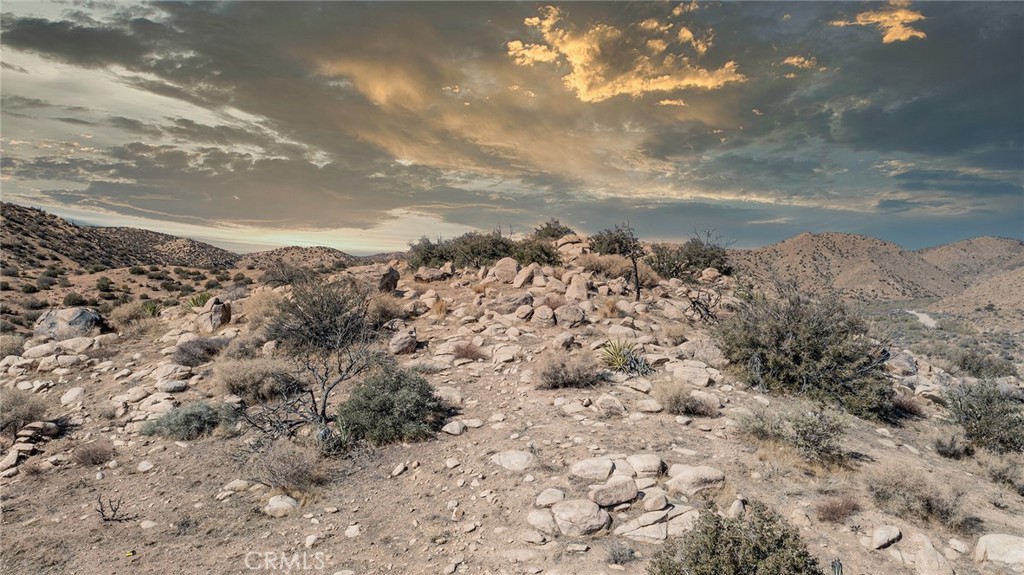 MLS #JT25138582 image #2