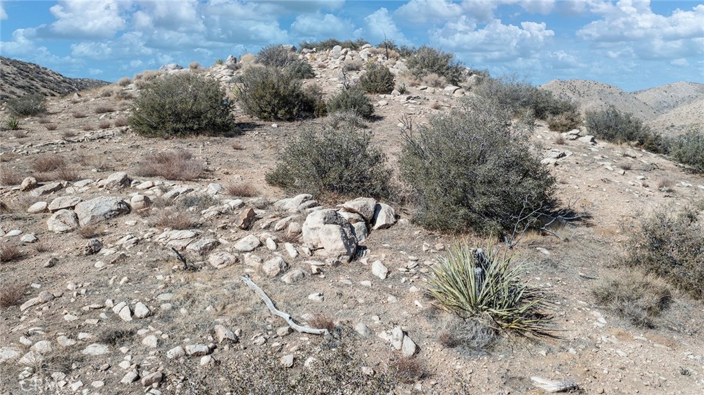 MLS #JT25138582 image #4