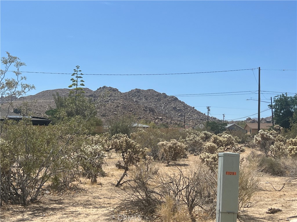 MLS #JT25138693 image #1