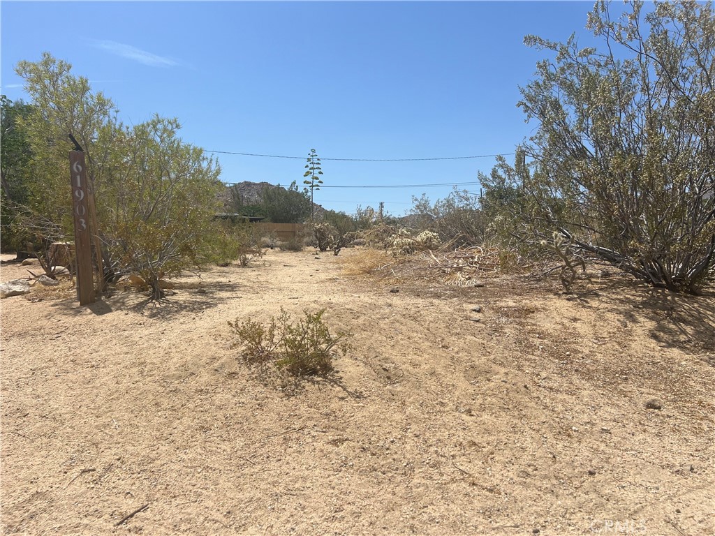 MLS #JT25138693 image #2