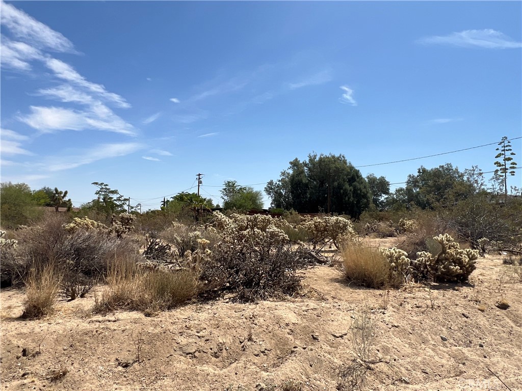 MLS #JT25138693 image #3