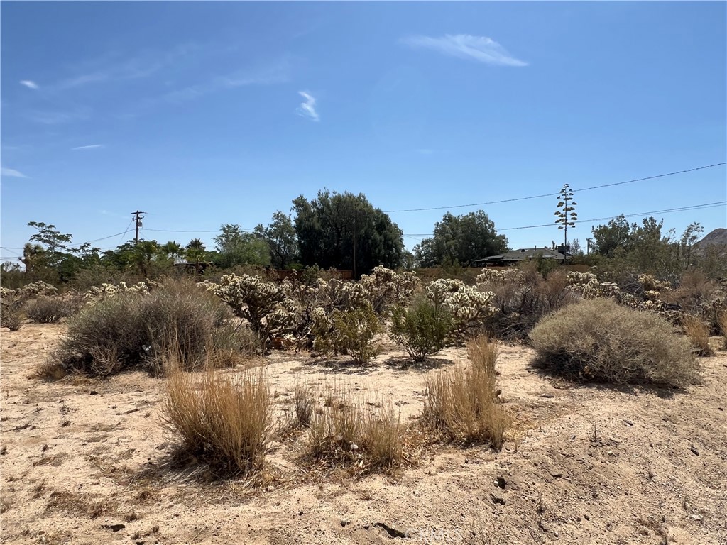 MLS #JT25138693 image #4