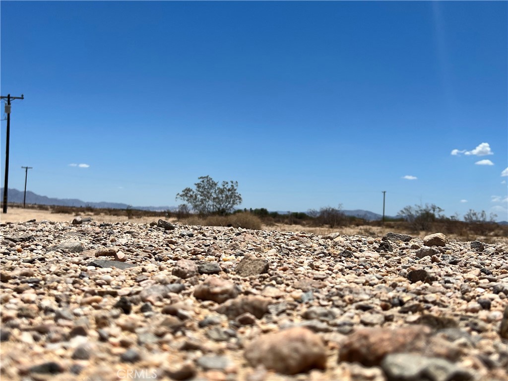 MLS #JT25138967 image #3