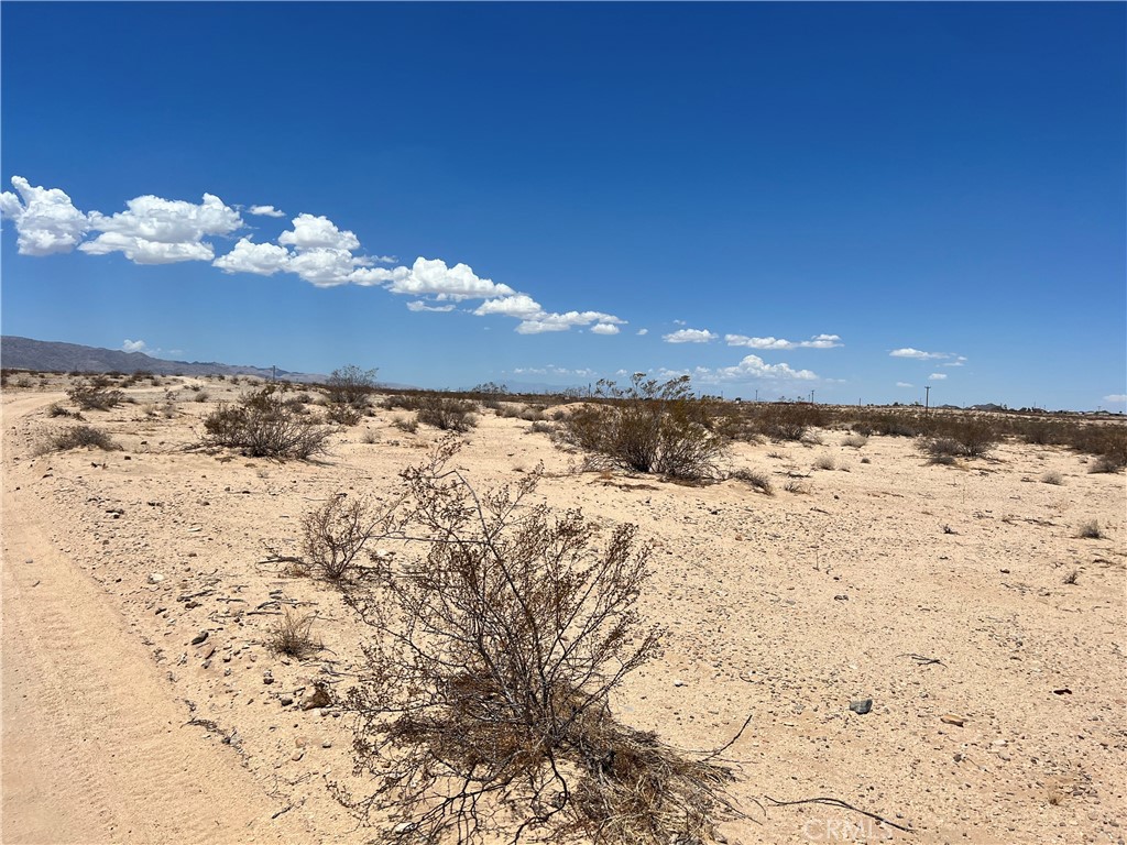 MLS #JT25138971 image #1