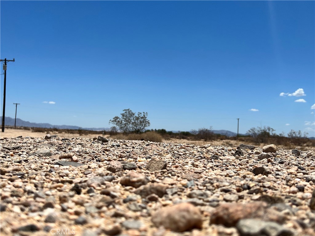 MLS #JT25138971 image #3