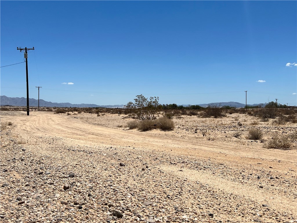 MLS #JT25138971 image #4