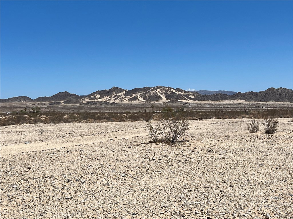 MLS #JT25138971 image #5