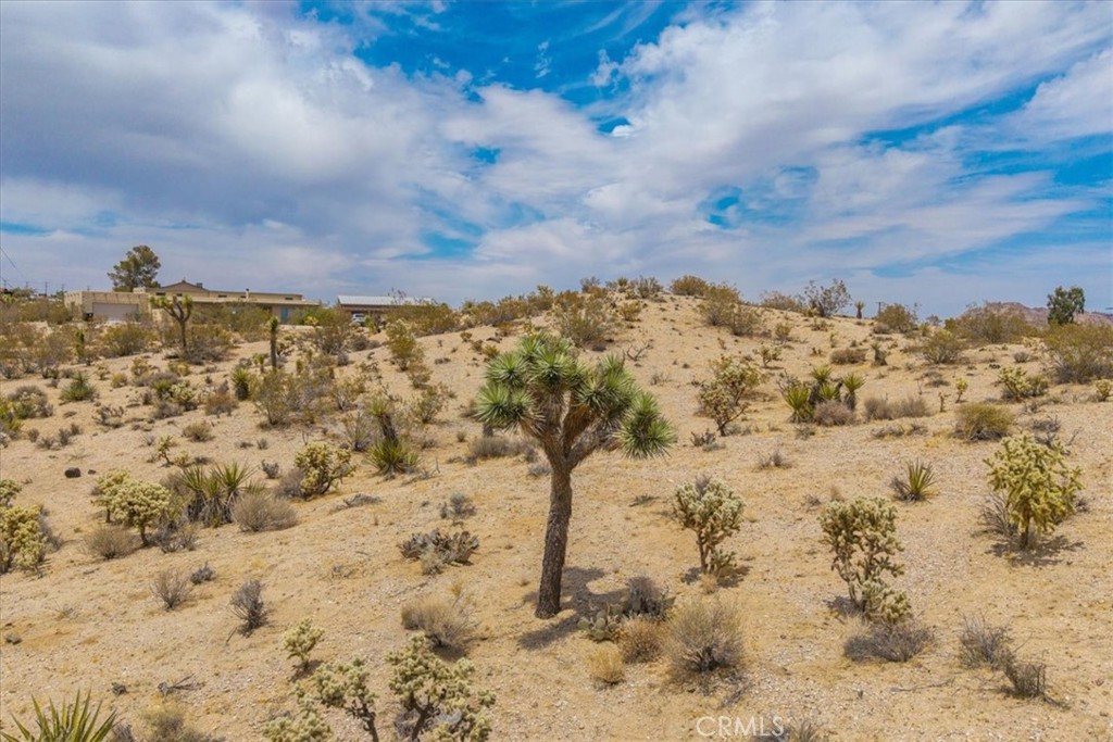 MLS #JT25139181 image #1