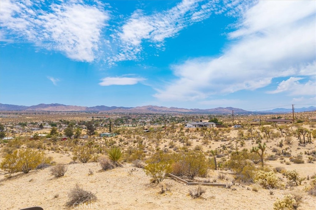 MLS #JT25139181 image #12